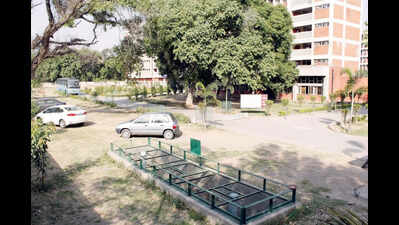 AMC aims to harvest 350 million litres of rainwater annually