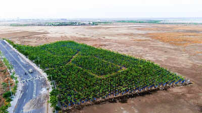 In Dholera-SIR, drums support a green experiment