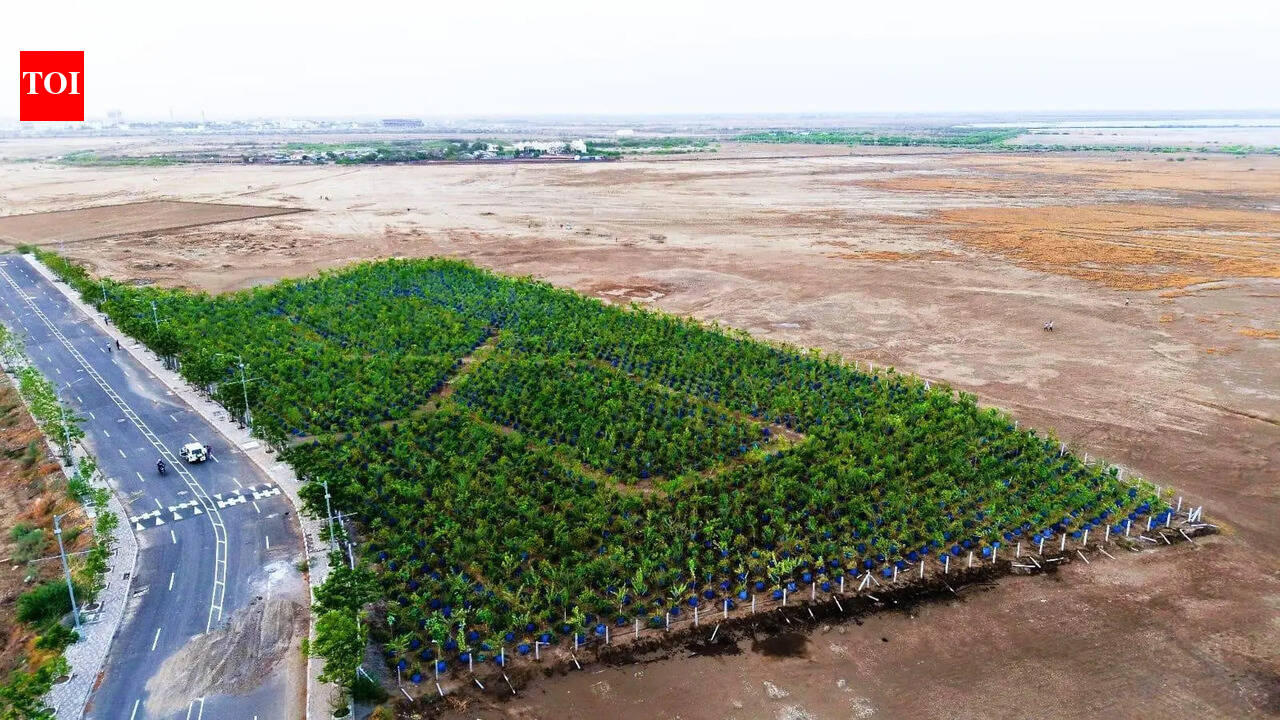 Navi Mumbai: Sandeep Naik Foundation launches ‘tree for anyone who asks’ campaign for environmental conservation
