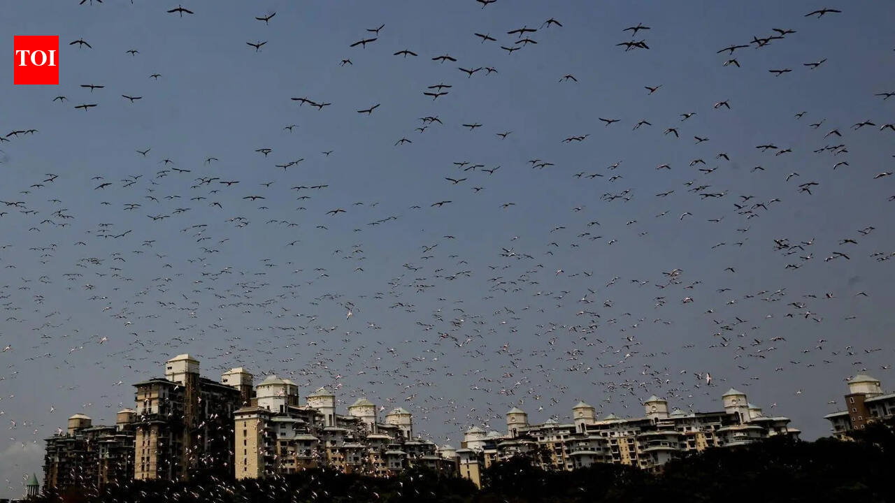 On World Environment Day, Environmentalists from Mumbai Metropolitan Region launch climate action plan
