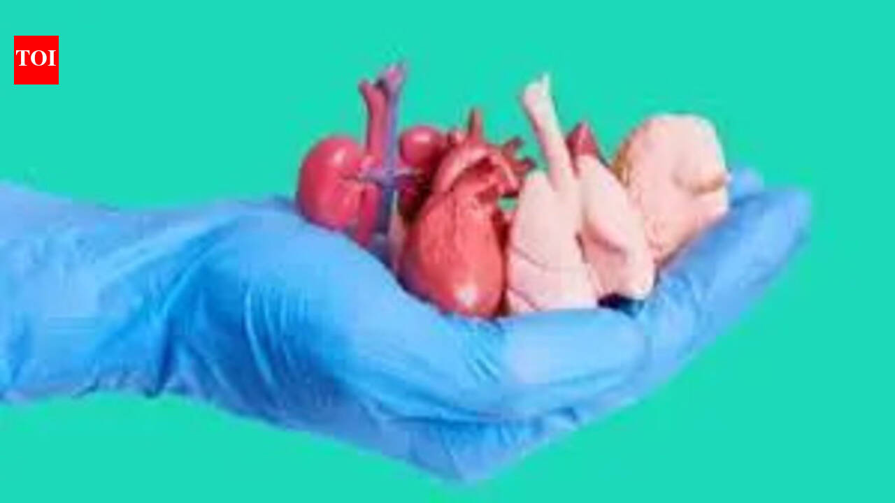 Lifeline for kidney patients as Andhra Pradesh cabinet clears ‘organ swap transplants’