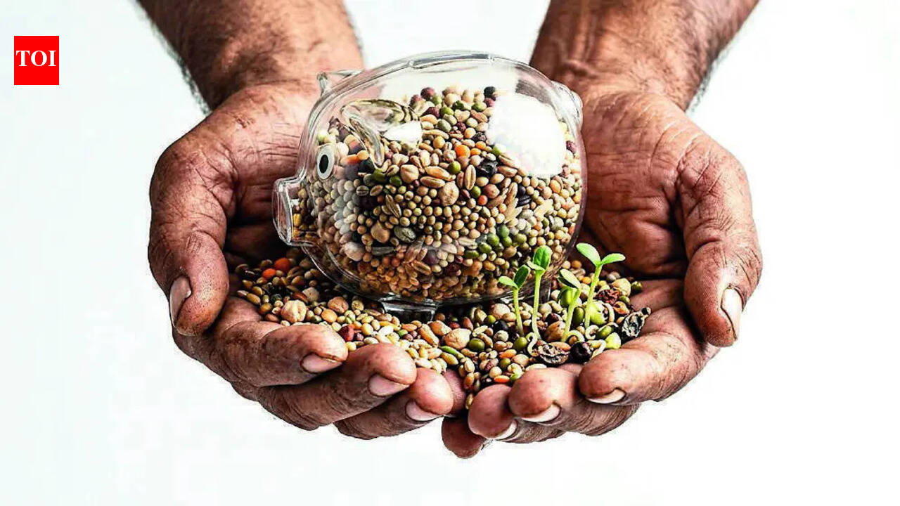Seed saviours aim to conserve native crop varieties