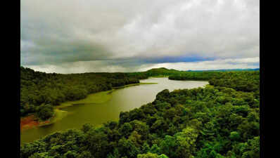 1,313 hectares of forest land in Gujarat diverted for other purposes: Congress