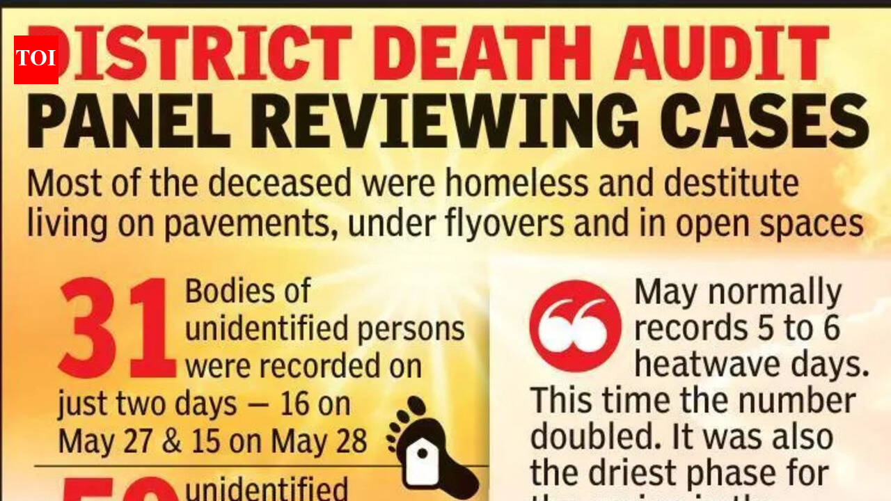 100 Suspected Sunstroke Deaths In May, Cases Under Audit Of Govt Panel