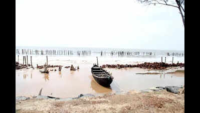 Deep-sea port project: State eyes new site at Dadanpatrabar