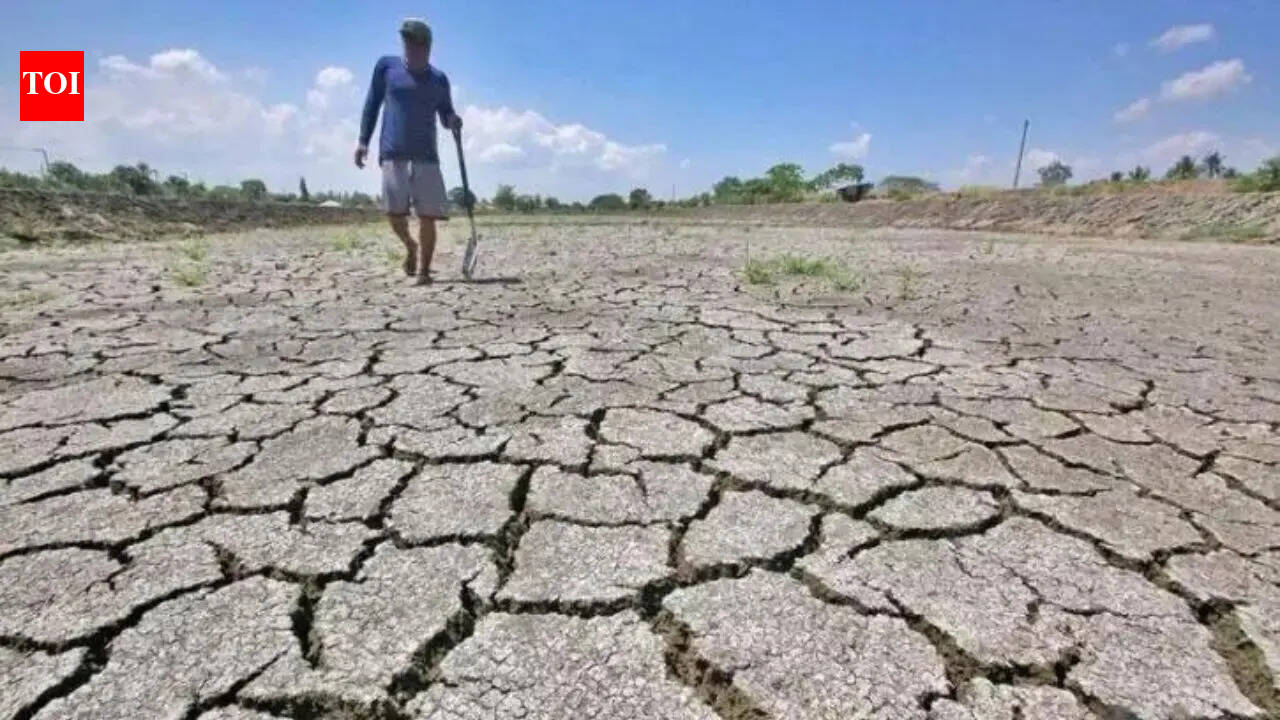 El Nino is here, says European agency amid Pacific warming