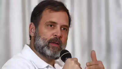 Rahul: Youth paying for broken system