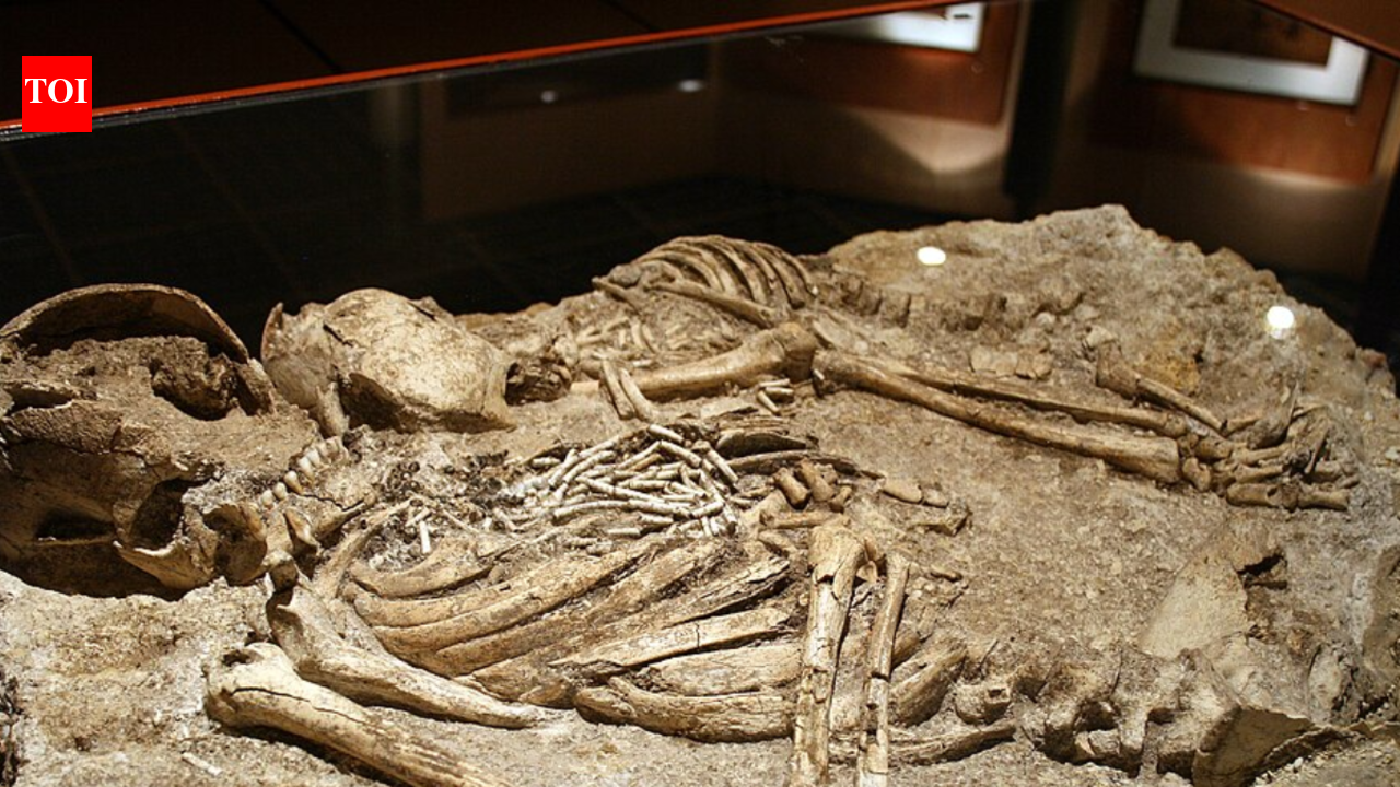 In 2023, DNA from a French cemetery revealed a 7-generation family tree and offered a rare look at Stone Age burials