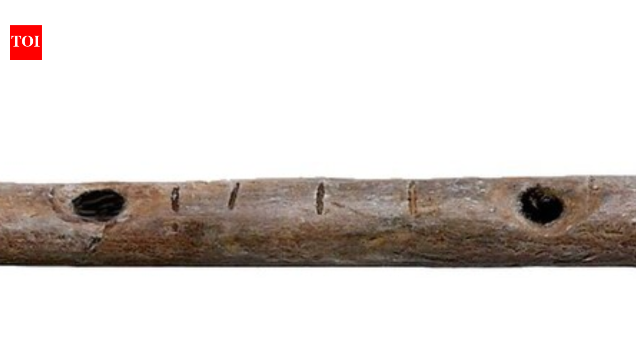 In 2008, bone and ivory flutes from Germany revealed music’s deep Ice Age roots