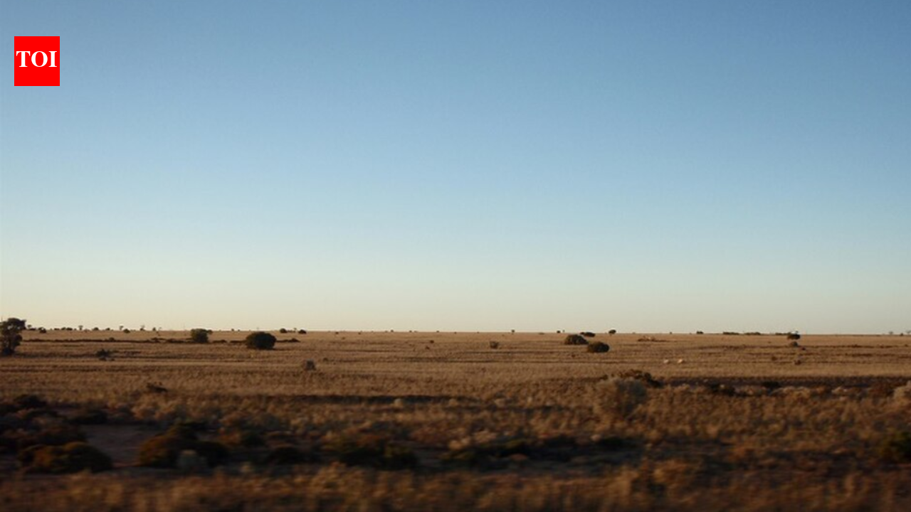 Nullarbor's 'Flat' Myth Shattered: Ancient Reef Discovery Rewrites Our Past.
