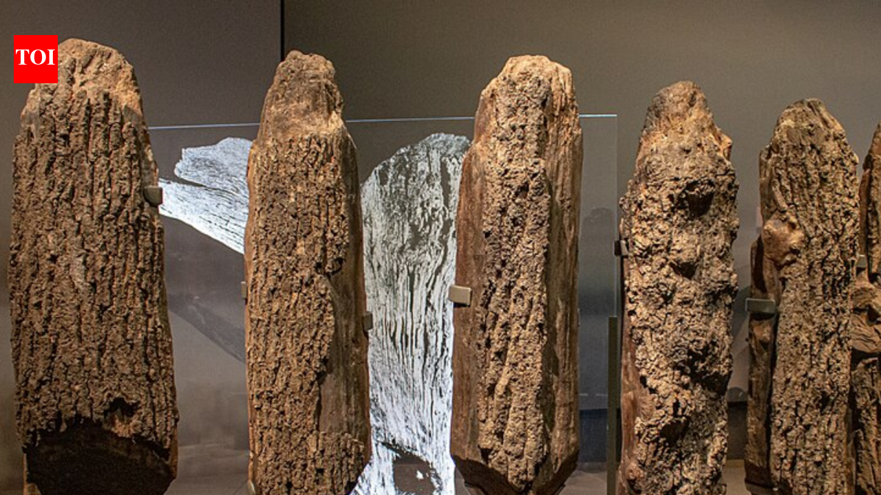 In 1998, shifting sands on a Norfolk beach exposed the Bronze Age monument now called Seahenge