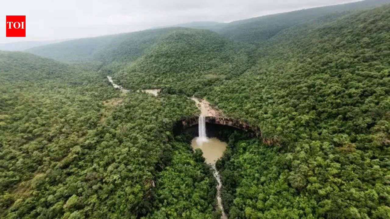 And then the jungle sprang to life: Four attacks, 550 arrests & 2,500 acres of forest reclaimed in Chhattisgarh tiger reserve
