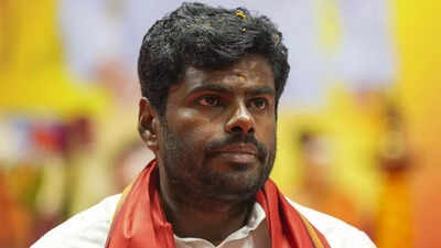 Annamalai parts ways with BJP: What may have led to exit of its most prominent Tamil Nadu leader