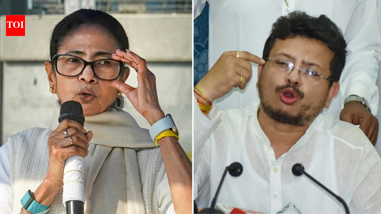 More trouble brewing for Mamata's TMC? Expelled MLA Ritabrata makes fresh claim
