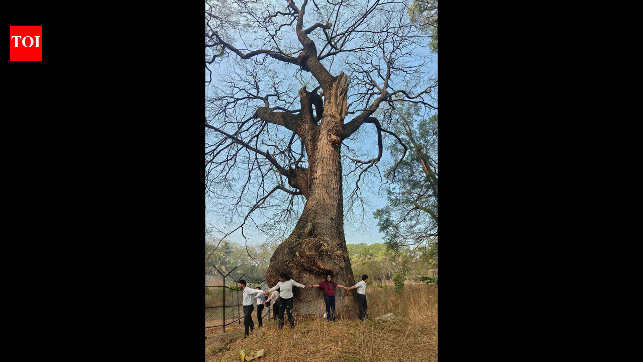 By the people... For the environment: Punekars gather to protest unnecessary felling of Pune's indeginious trees