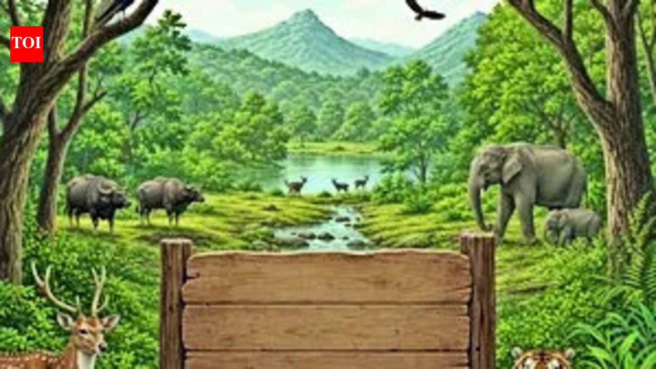 For decades, 24 out of MP's 26 sanctuaries await notification