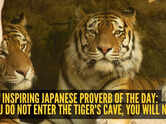 Inspiring Japanese proverb of the day: "If you do not enter the tiger's cave, you will not..."