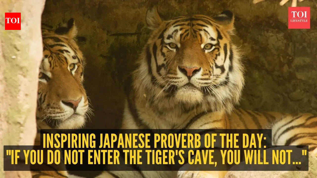Inspiring Japanese proverb of the day: "If you do not enter the tiger's cave, you will not..."