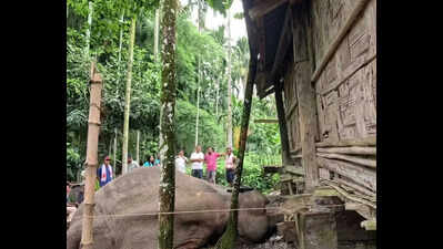 Elephant electrocuted in Dhemaji’s Jonai