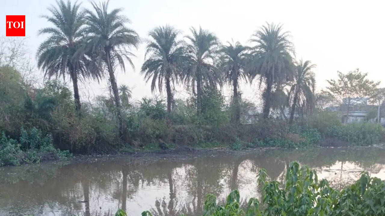 NGT seeks govt reply over Padampur bus stand project