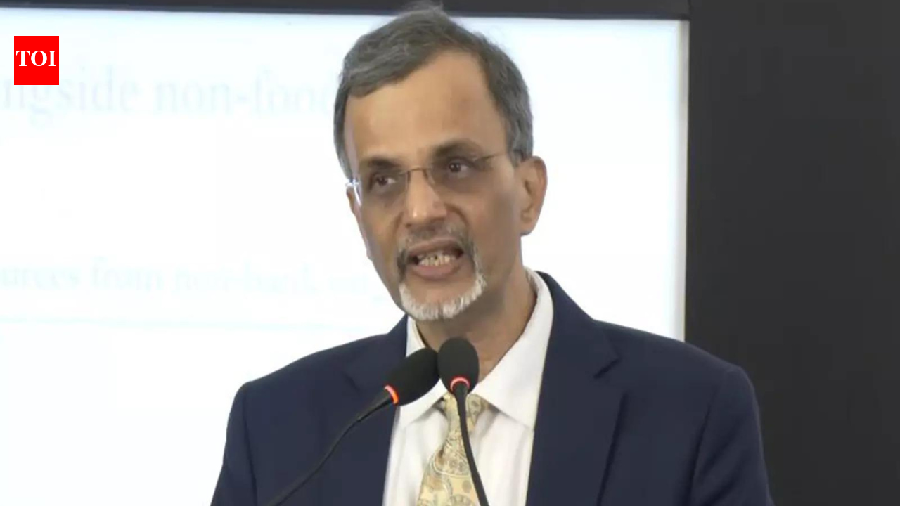 India can return to 7% growth by FY28 despite near-term risks, says CEA Nageswaran