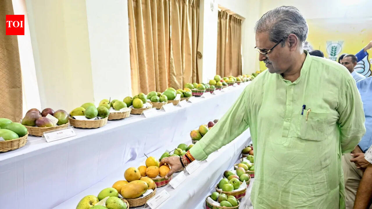 Odisha must develop distinct mango brand identity: Deputy CM