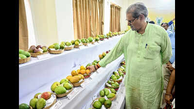 Odisha must develop distinct mango brand identity: Deputy CM
