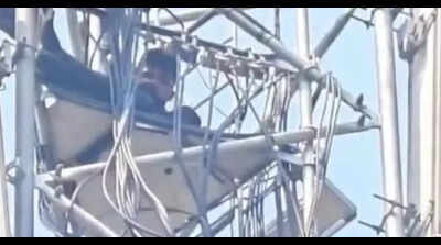 Man climbs mobile tower alleging discrepancies in land mutation; CM orders probe