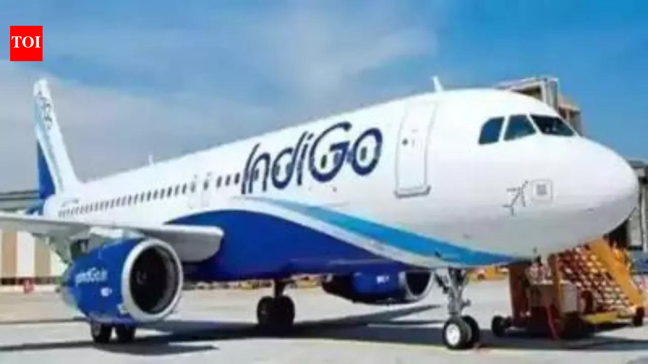 IndiGo flight to Mumbai returns to Bengaluru after bird hit during take-off