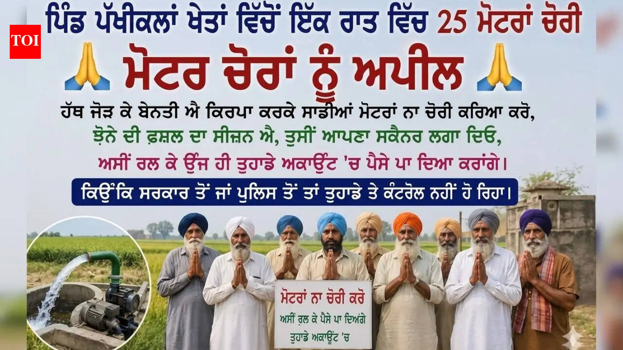 ‘We will deposit money in your account’: Irked over theft, Punjab farmers ready to pay thieves via scanner