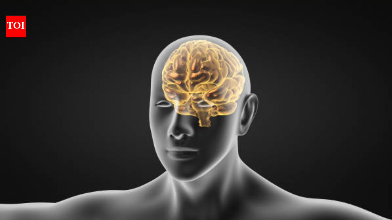 Stroke Risk Rising in Young Indians: Lifestyle Factors to Blame