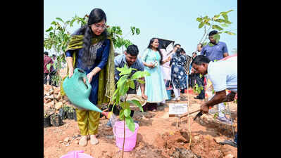 BMC carries out Miyawaki plantation over half an acre in Salia Sahi