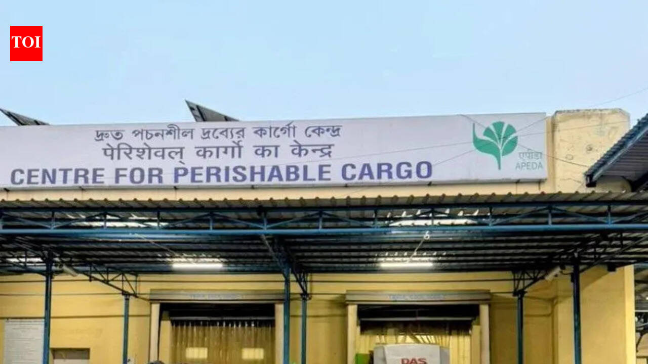 Amrapali mangoes from Simdega take flight for London markets