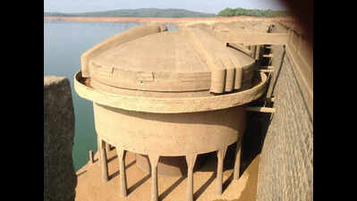 Forest department bans entry to resurfaced Hirebhaskara Dam
