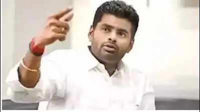 Annamalai venture to dent not just BJP, other parties too
