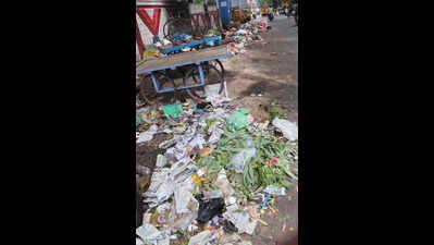 Address garbage disposal on priority: Karnataka Lokayukta