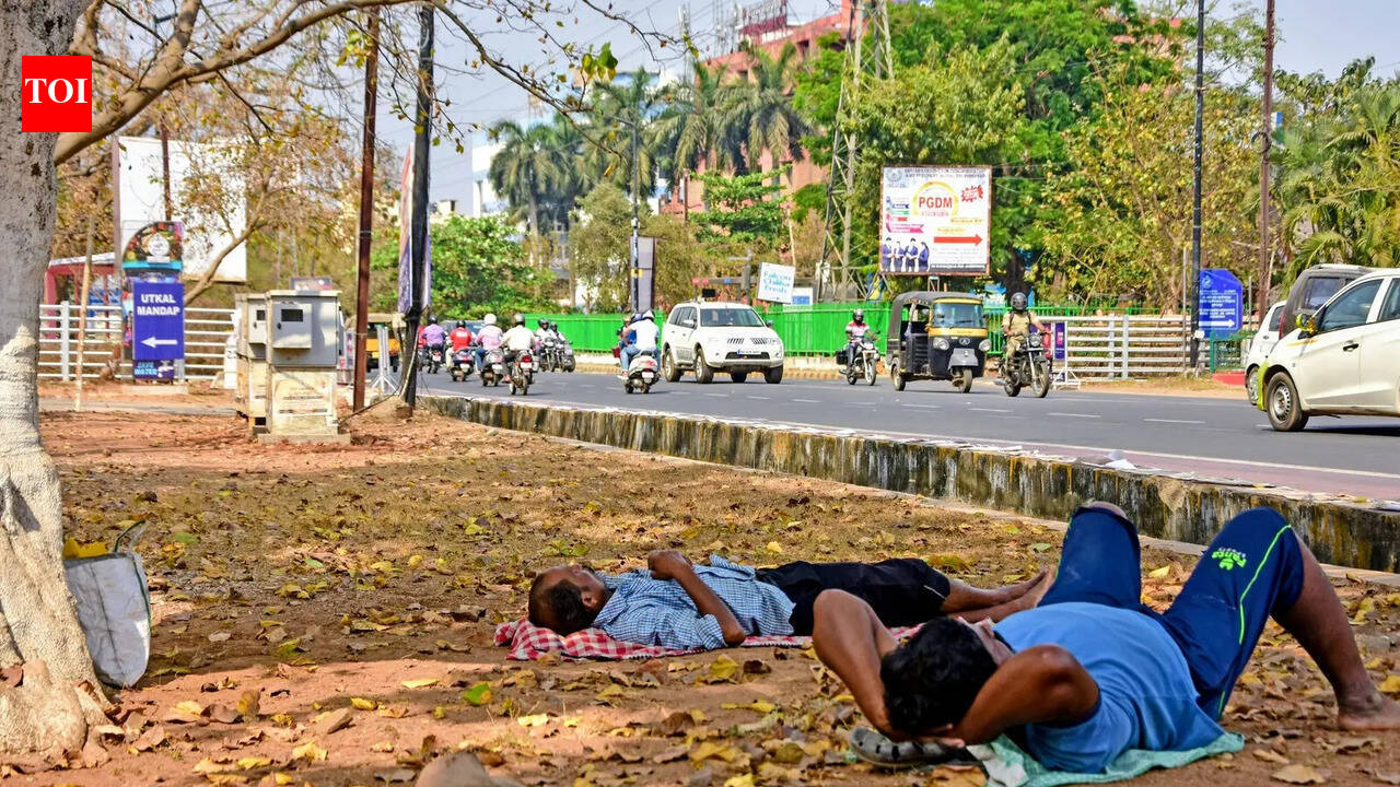Maharashtra logs 292 heatstroke cases this summer, 21 deaths