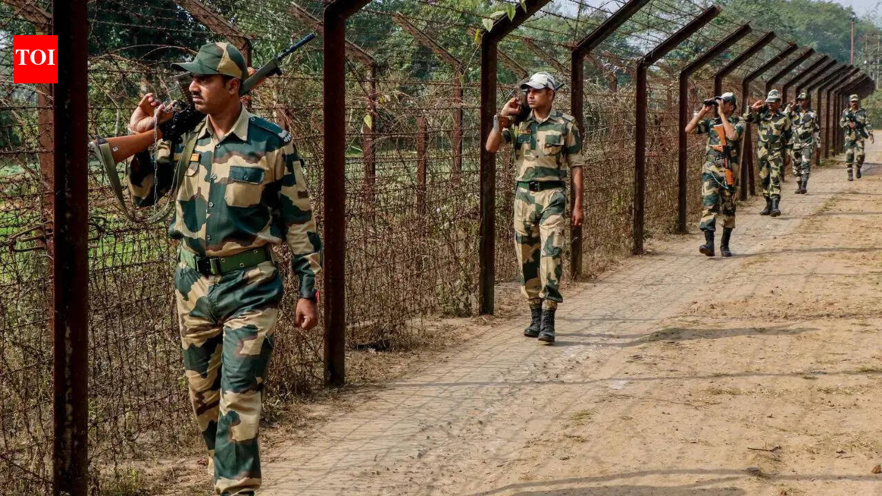 Bangladesh border guards, BSF accuse each other of push-in attempts