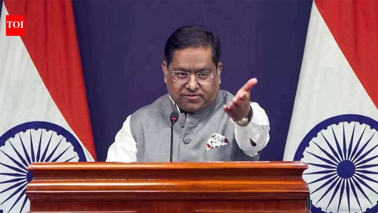Expedite verifications, MEA tells Dhaka