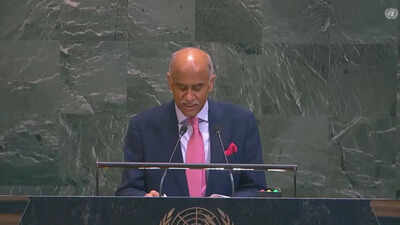 'J&K was, is and will remain part of India': New Delhi rebukes Pakistan at UN
