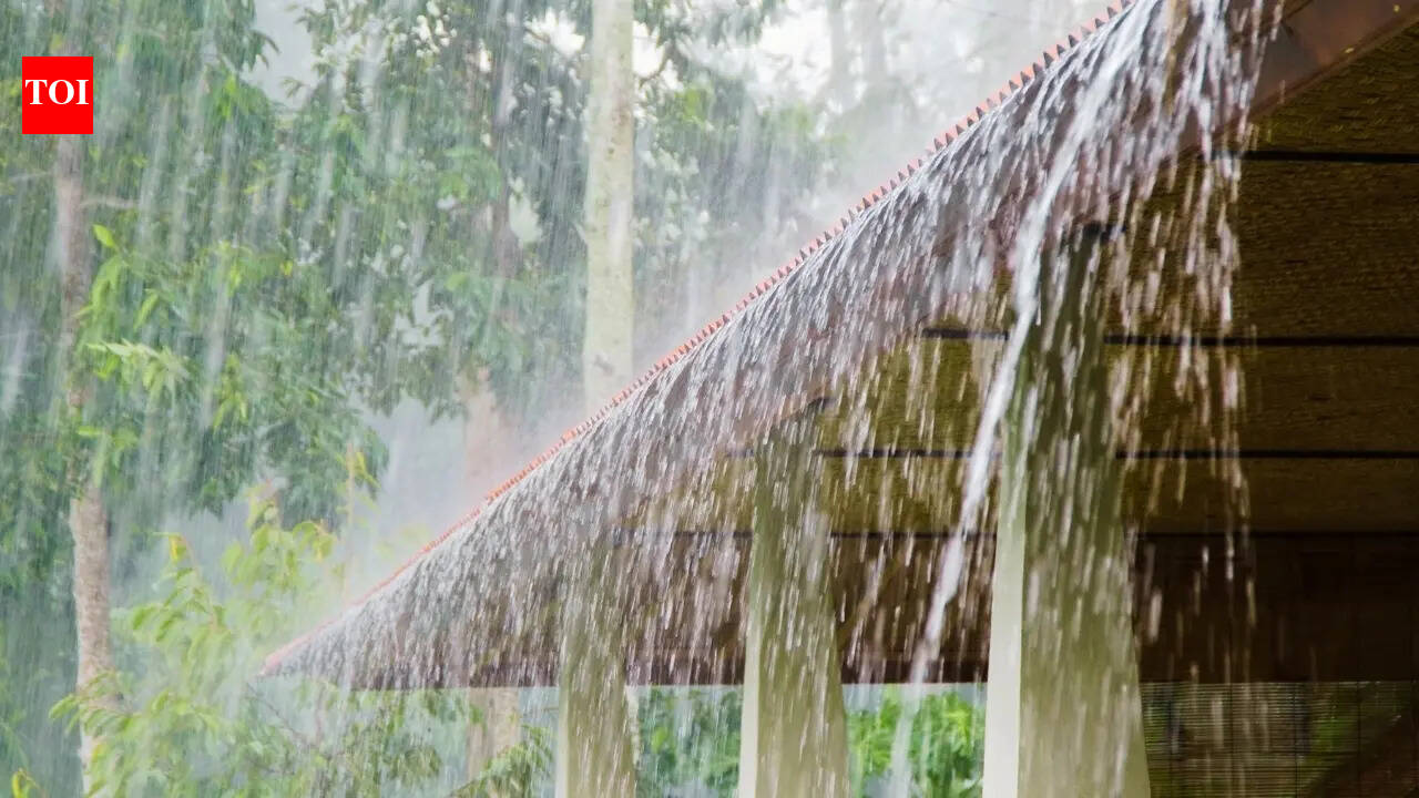 IMD issues heavy rainfall warning across these states as monsoon intensifies; what travellers need to know