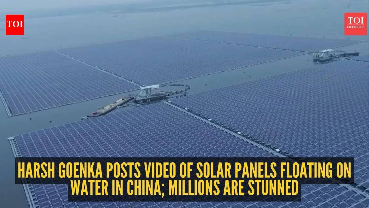 timesofindia.indiatimes.com
