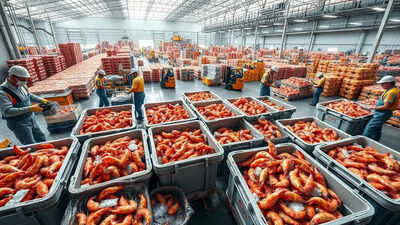 43% झींगा निर्यात अस्वीकरण के पीछे प्रतिबंधित एंटीबायोटिक्स; सीडीएससीओ सख्त प्रवर्तन चाहता है