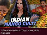 After H-1Bs, American journalist targets Indian mangoes: 'Not very sanitary, think twice before buying'