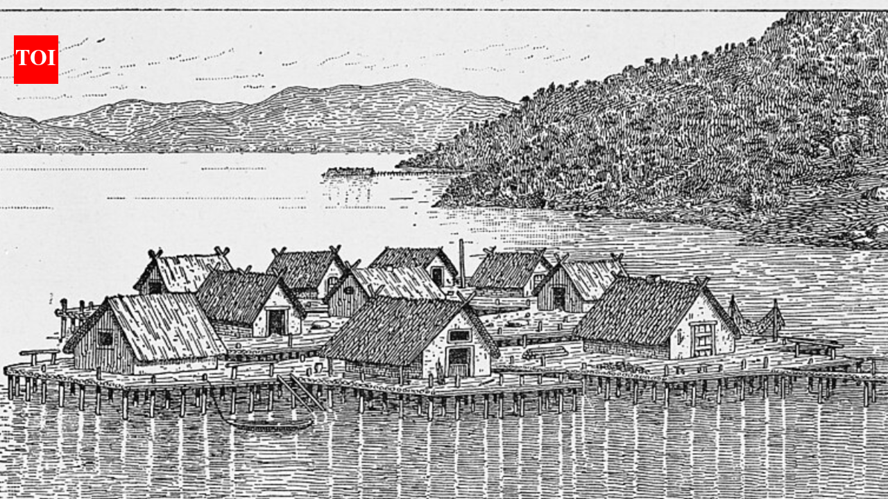 In 1854, wooden stakes in a Swiss lake exposed the everyday lives of prehistoric farmers