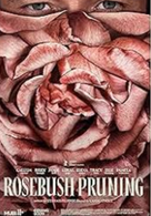 Rosebush Pruning