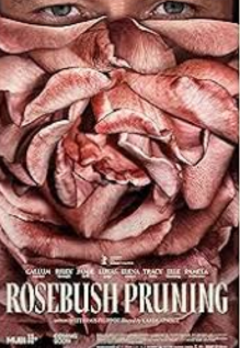 Rosebush Pruning