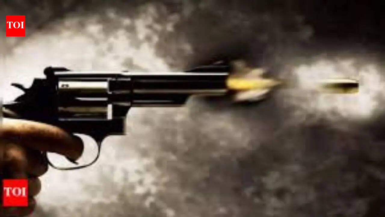 Punjab road rage case: 2 dead, one critical following Batala shootout