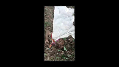 4 die in tusker attacks in two days in Keonjhar, Sundargarh