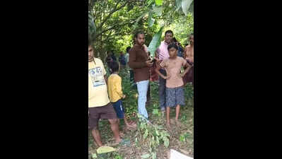 4 die in tusker attacks in two days in Keonjhar, Sundargarh